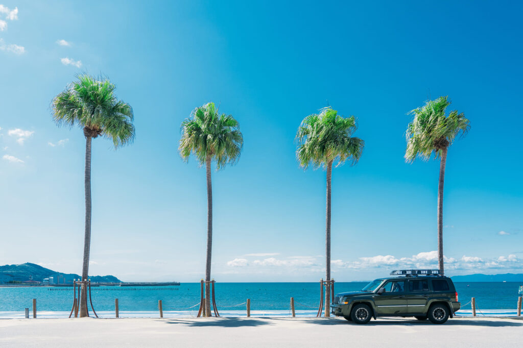 竹内まりやの高価買取レコード！シティポップアーティストとしての魅力もご紹介