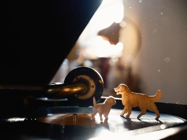 「レコードの象徴、ビクター犬ニッパー｜ジャケットデザインから名盤・グッズまで」