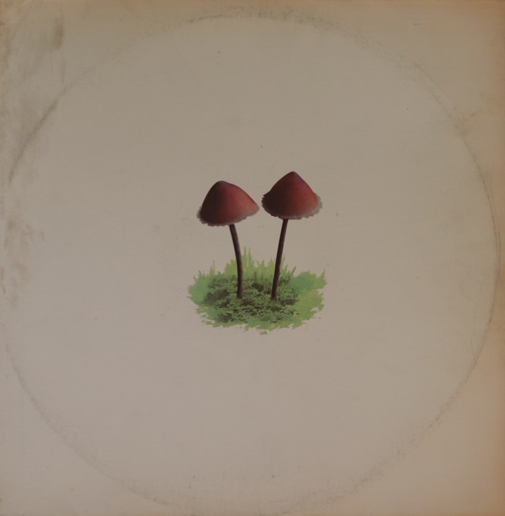 Mushroom Jazz 2 / Mark Farina